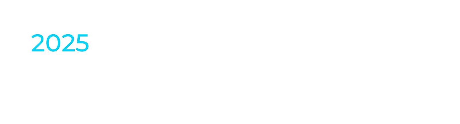 2025 Attending Partners