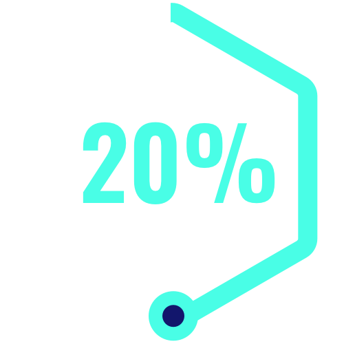 20%